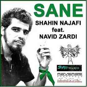 Sane feat Navid Zardi