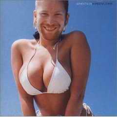 Windowlicker single