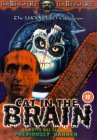 A Cat in the Brain
