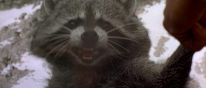 Ace Ventura 2: Detailed BBFC cuts