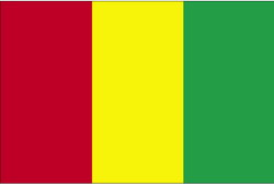 Guinea flag 