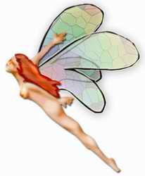 fairy